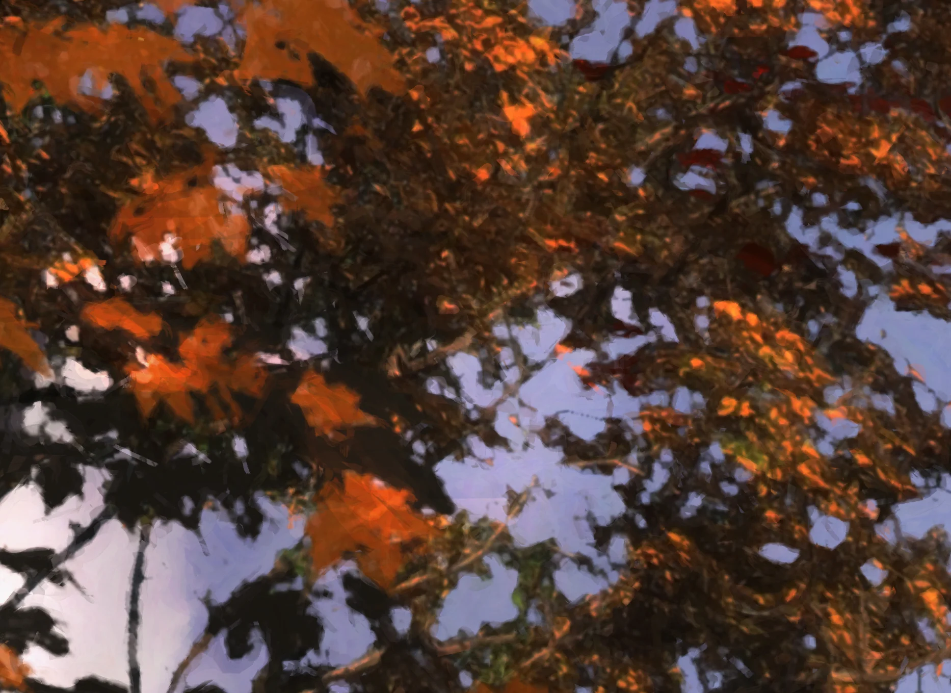 will you be my princess_closeup3.jpeg