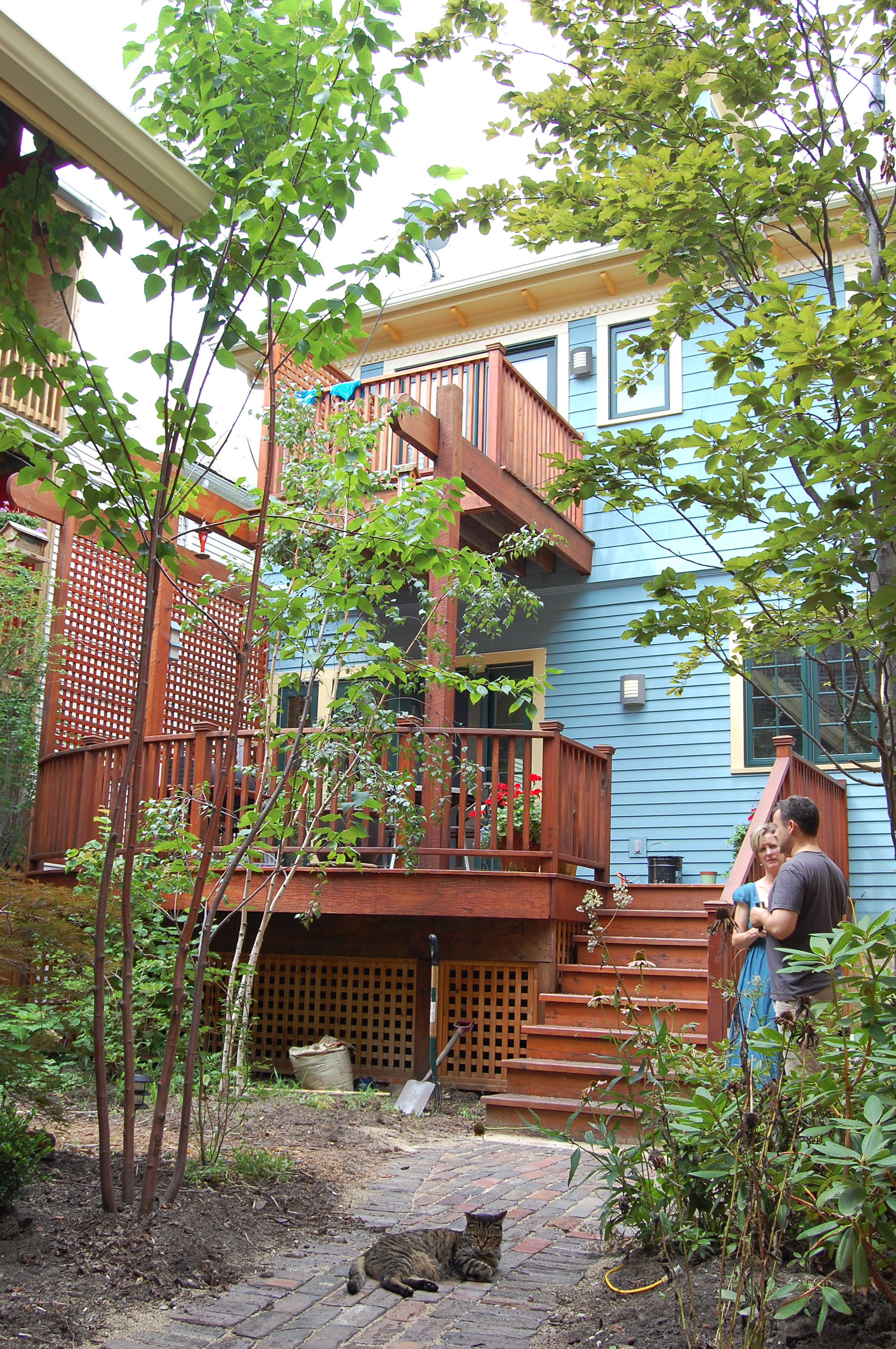 custom residential renovation redesign porch deck, backyard, cat