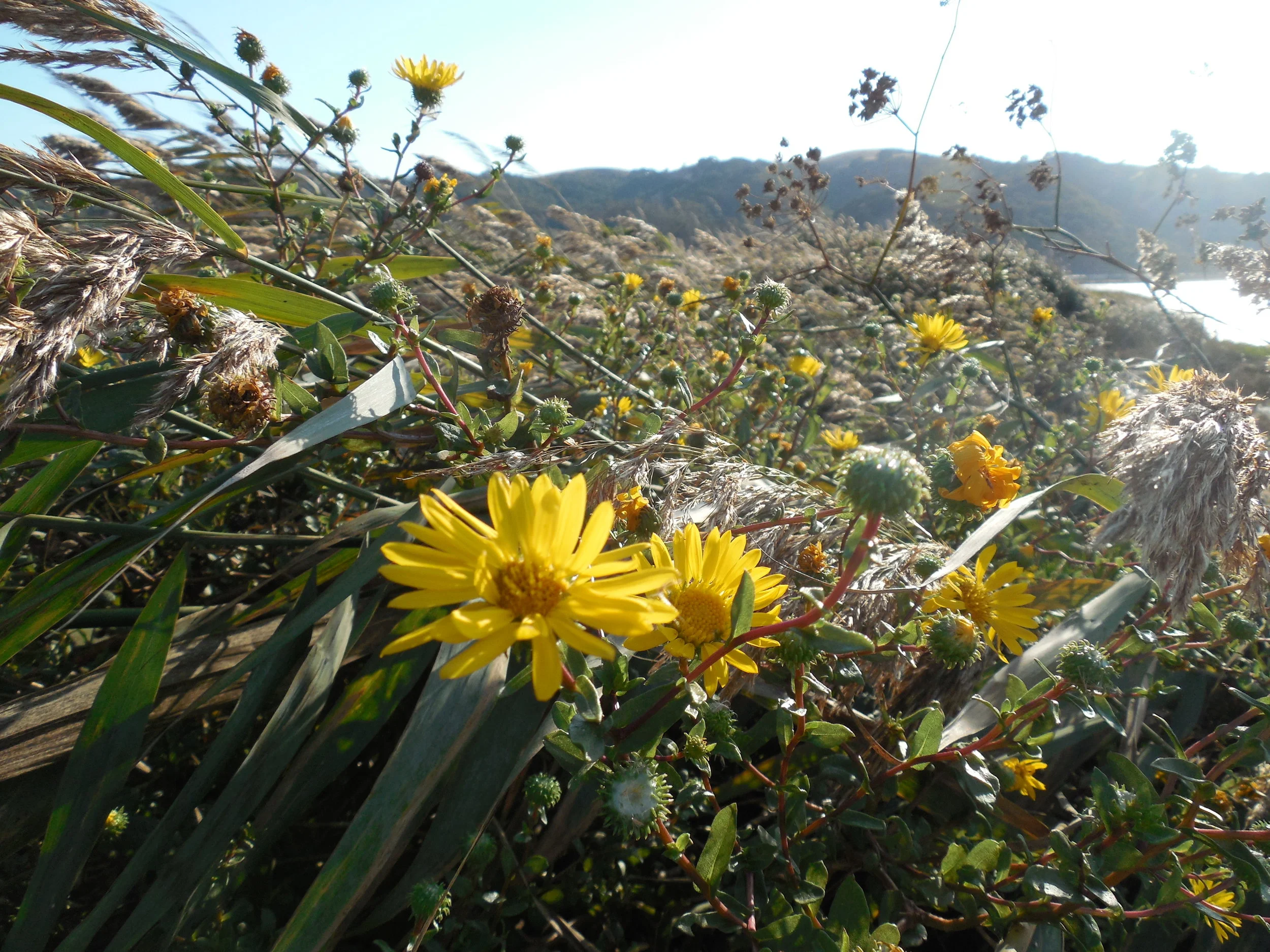 DSCN1564.JPG