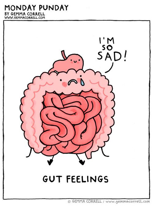 df1bd81860db3c8a0f826f5c7eed6a19--gut-feeling-laugh-lines.jpg