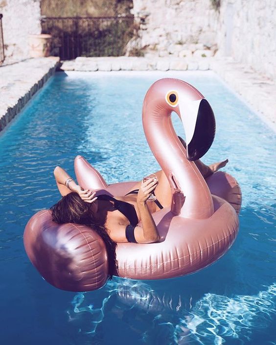 metallic flamingo pool float 2.jpg