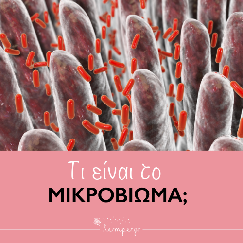 mikrovioma (1).png