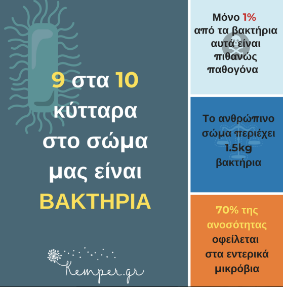 mikrovioma-tou-enterou.png