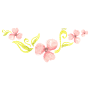 anthi-separator.png