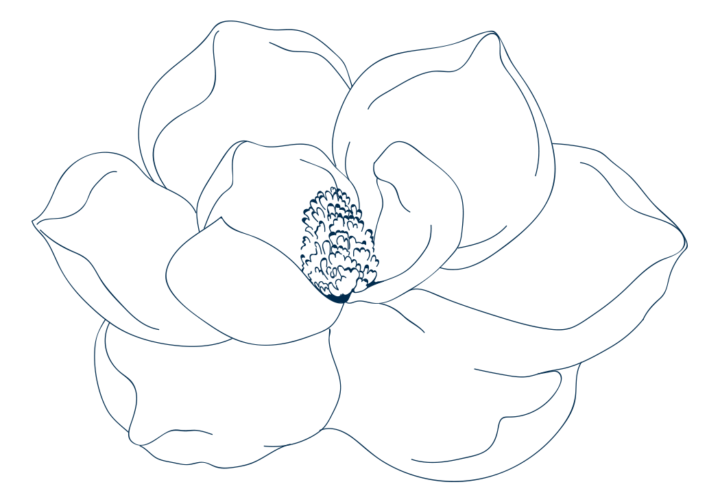 Susanna-Kemper-graphics---Magnolia-flower---line-drawing-navy.png