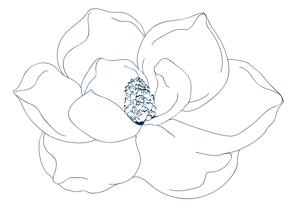 Susanna-Kemper-graphics---Magnolia-flower---line-drawing-navy.png