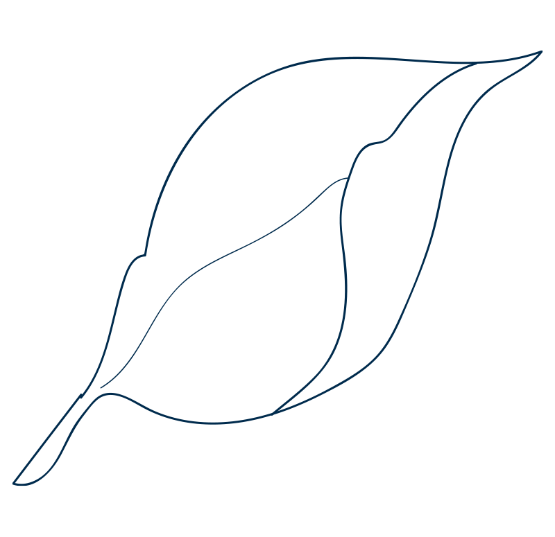 Susanna-Kemper-graphics---Magnolia-leaf---navy.png