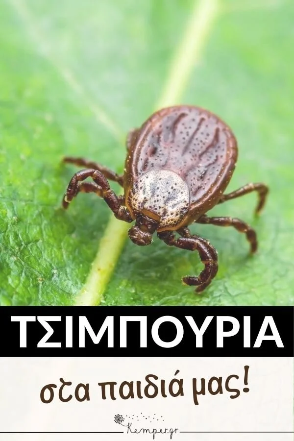 tsimpouri.jpg