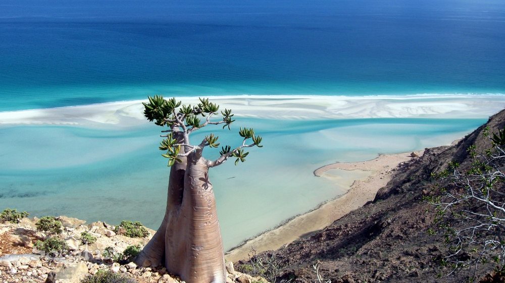 Qalansiyah Beach