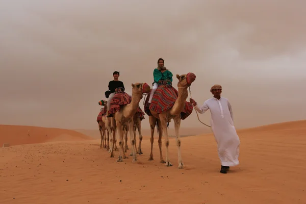 We do the Camel Safari in Oman only twice a season. Not the tourist duck in and out on the Camel, but a full day on the camel through the Waheeba Sands