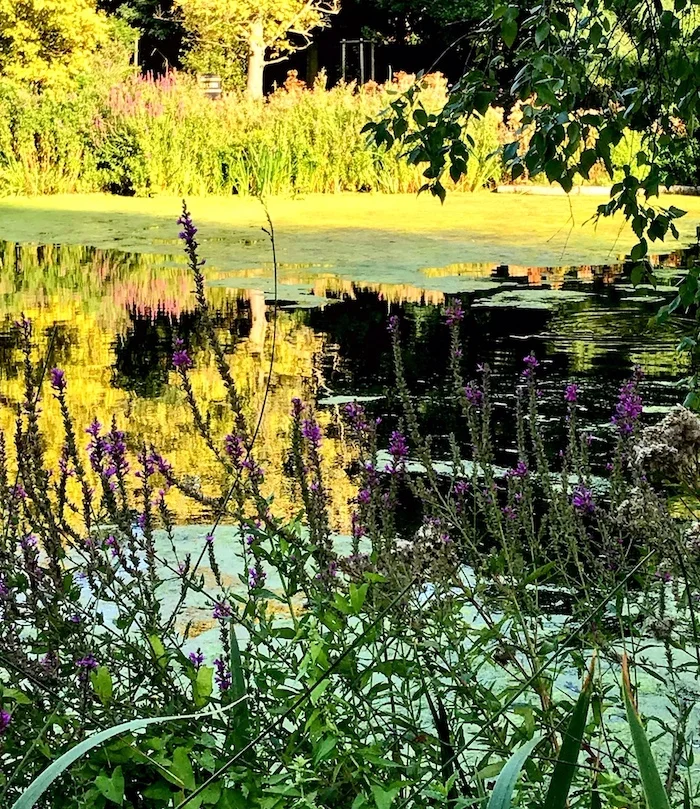 picture (not quite) perfect...