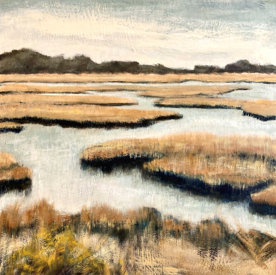 fall marsh