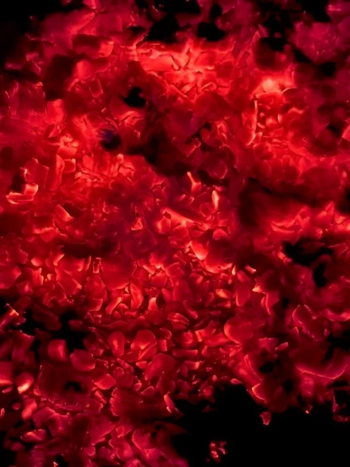 the #cureall

the magic/mystery/seduction of fire

a golden morning walk on a country road where a pack of motorbikes passed me, each sweet rider nodding, smiling, or waving to me

then laying on a bed pressed up against a glass wall/window watching 