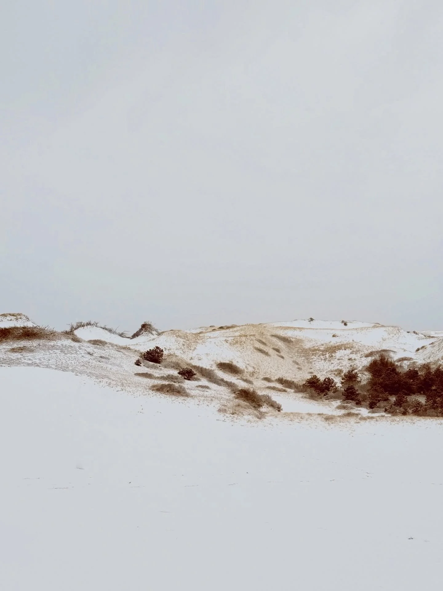 One of my favorite places on earth. 
What, in the summer, looks like a desert that stretches as far as the eye can see was transformed into a minimalistic grisaille painting with the first day of the year&rsquo;s snowfall 🤍🩶🤎

#whiteout
#minimal
#