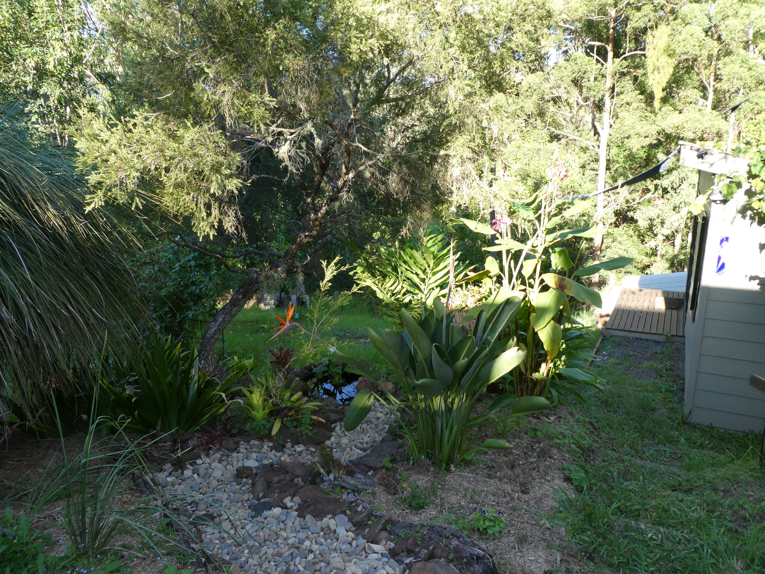 P1000329.JPG