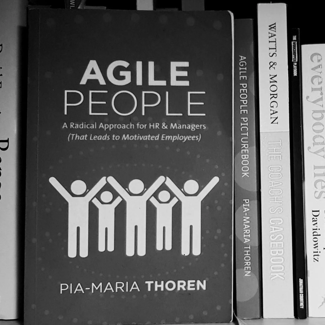 AGILE%252BPEOPLE%252BBOOK.jpg