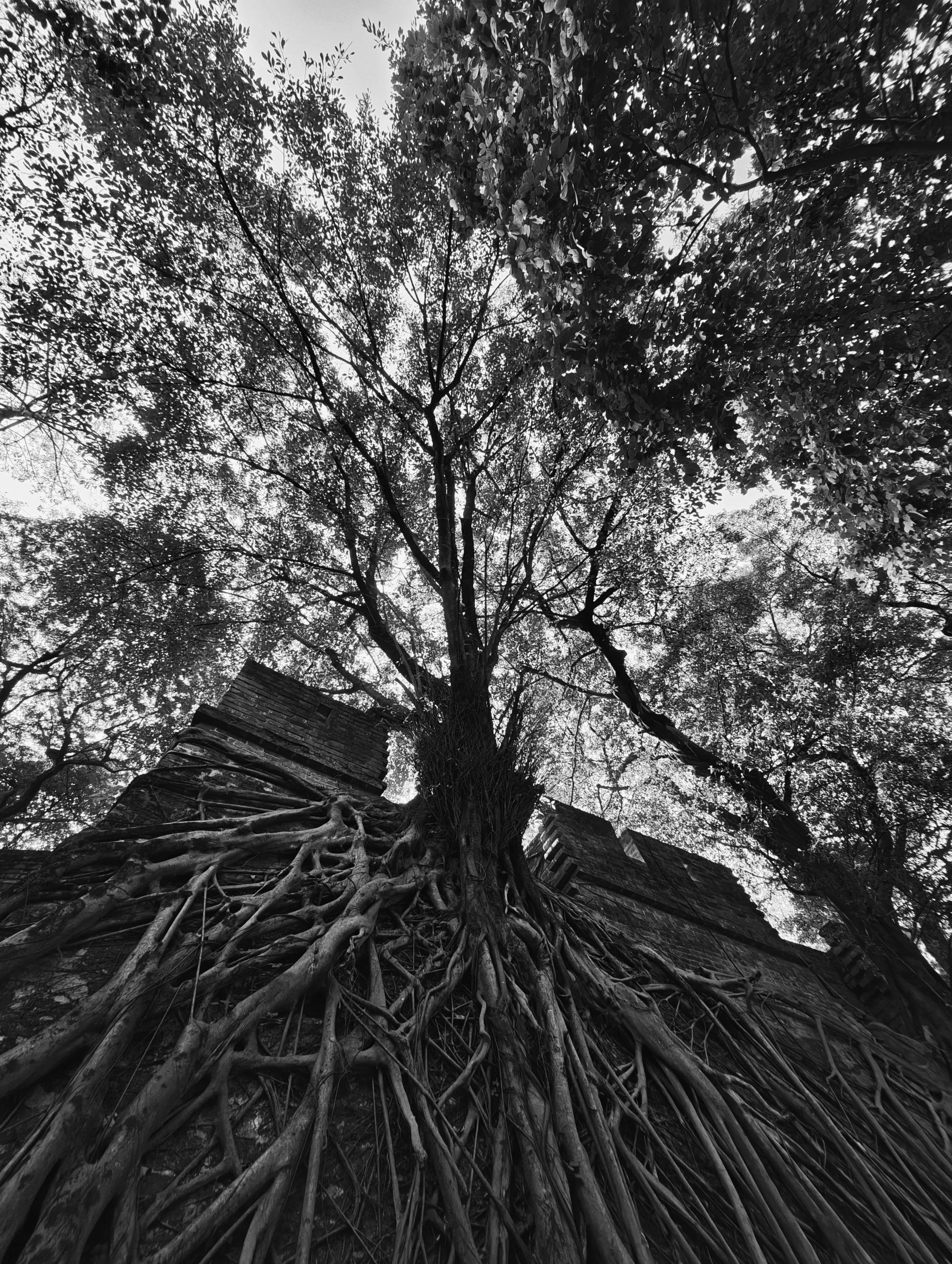 People Need People (Warm Data Lab)