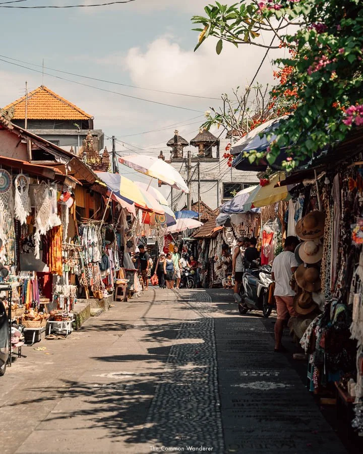 Shopping in Ubud and Around Central Bali