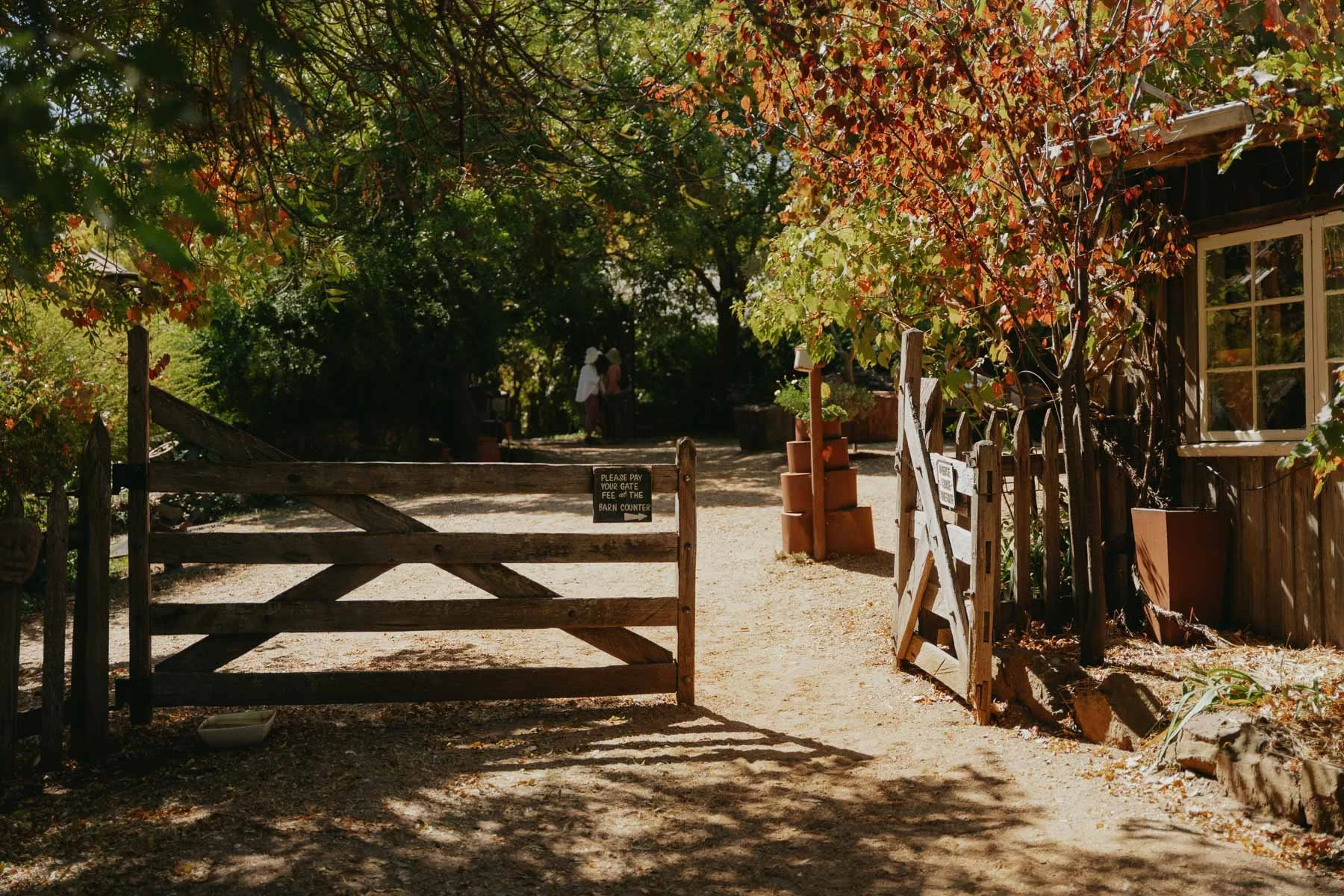 the entrance into Lavandula Swiss Italian Farm