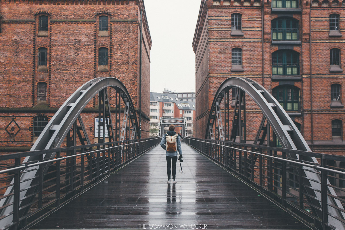 The Common Wanderer_-28.jpg