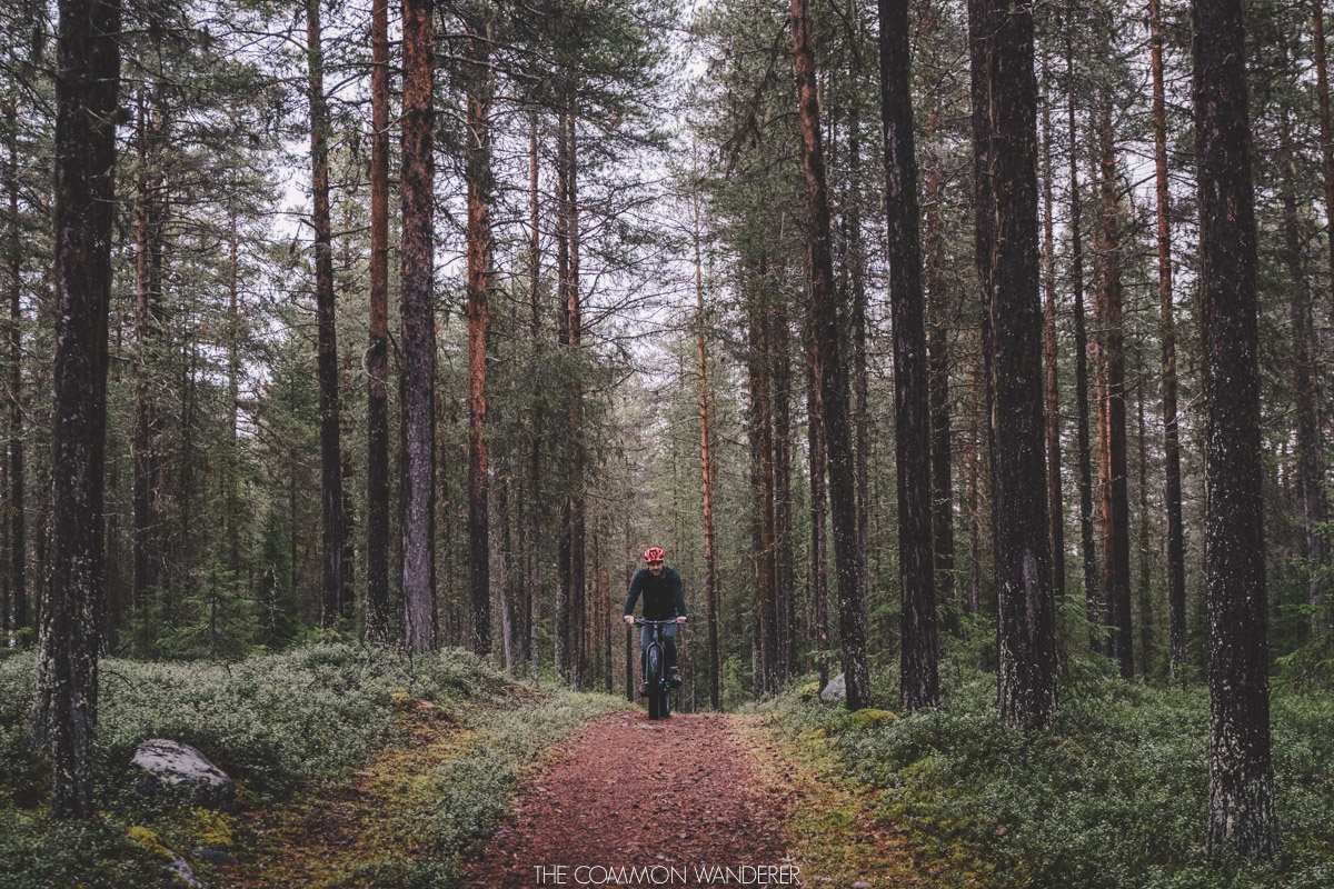 The Common Wanderer_-4.jpg