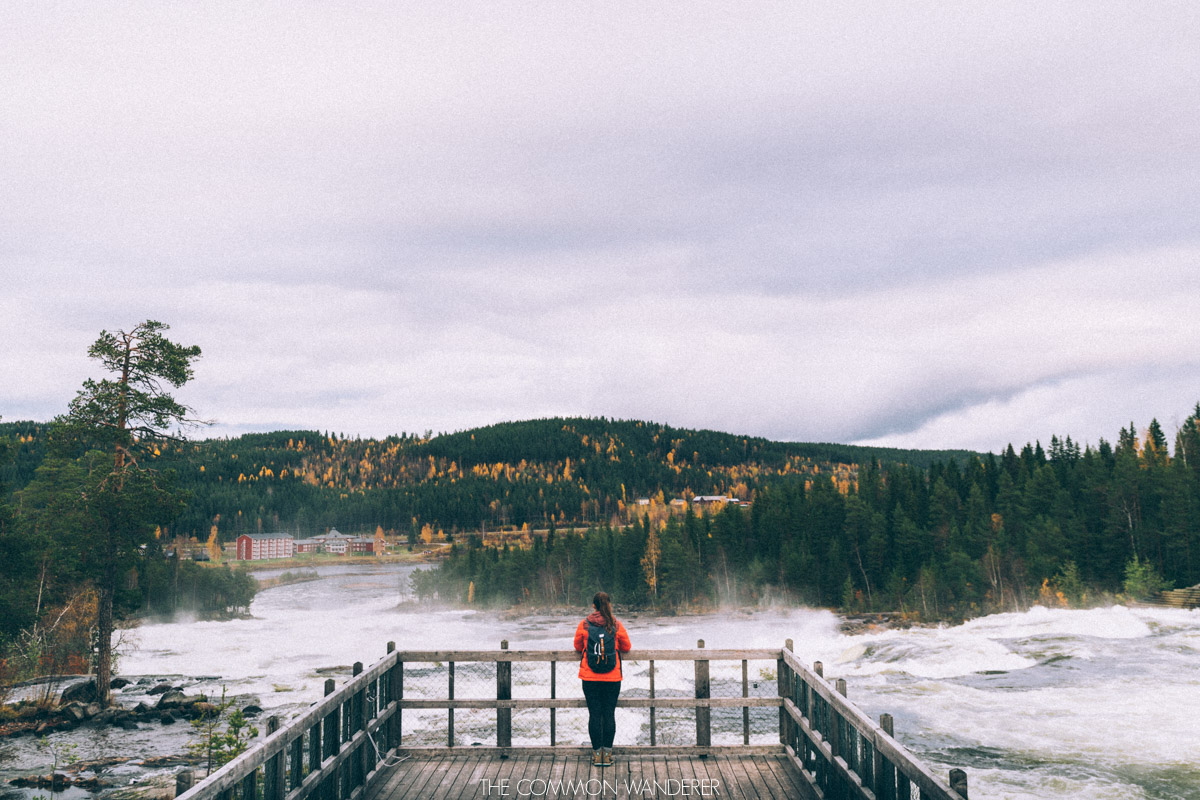 Taking in the view of Storforson Waterfall in Swedish Lapland, Sweden