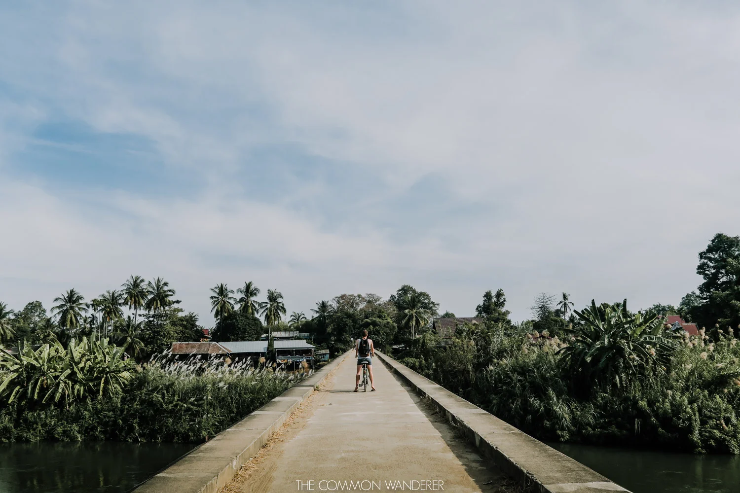 The Common Wanderer_-4.jpg