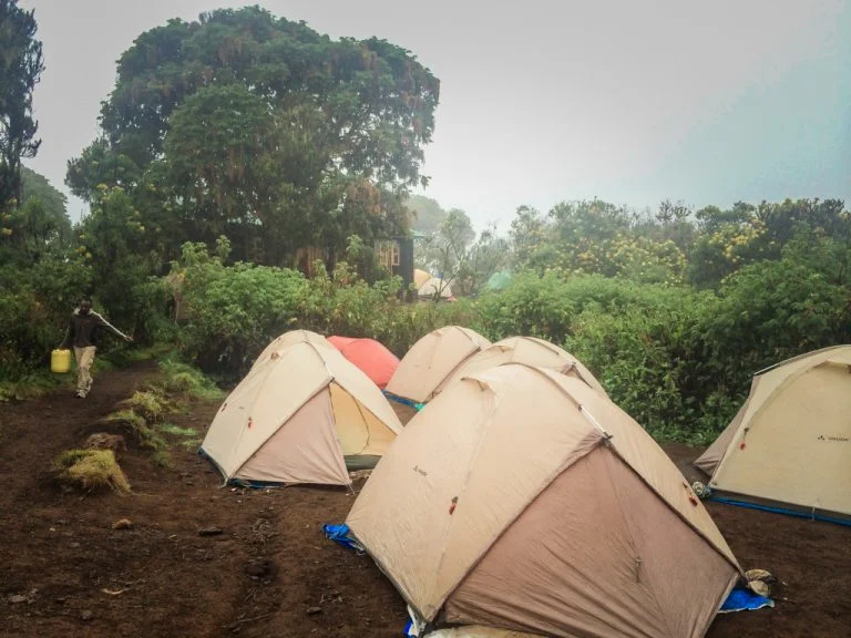 Kili-web-use-14-768x576.jpg