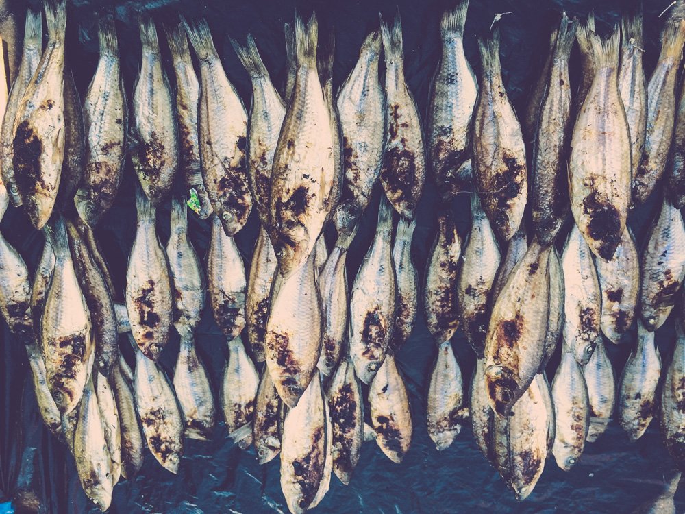 Fish in Nkhata Bay markets