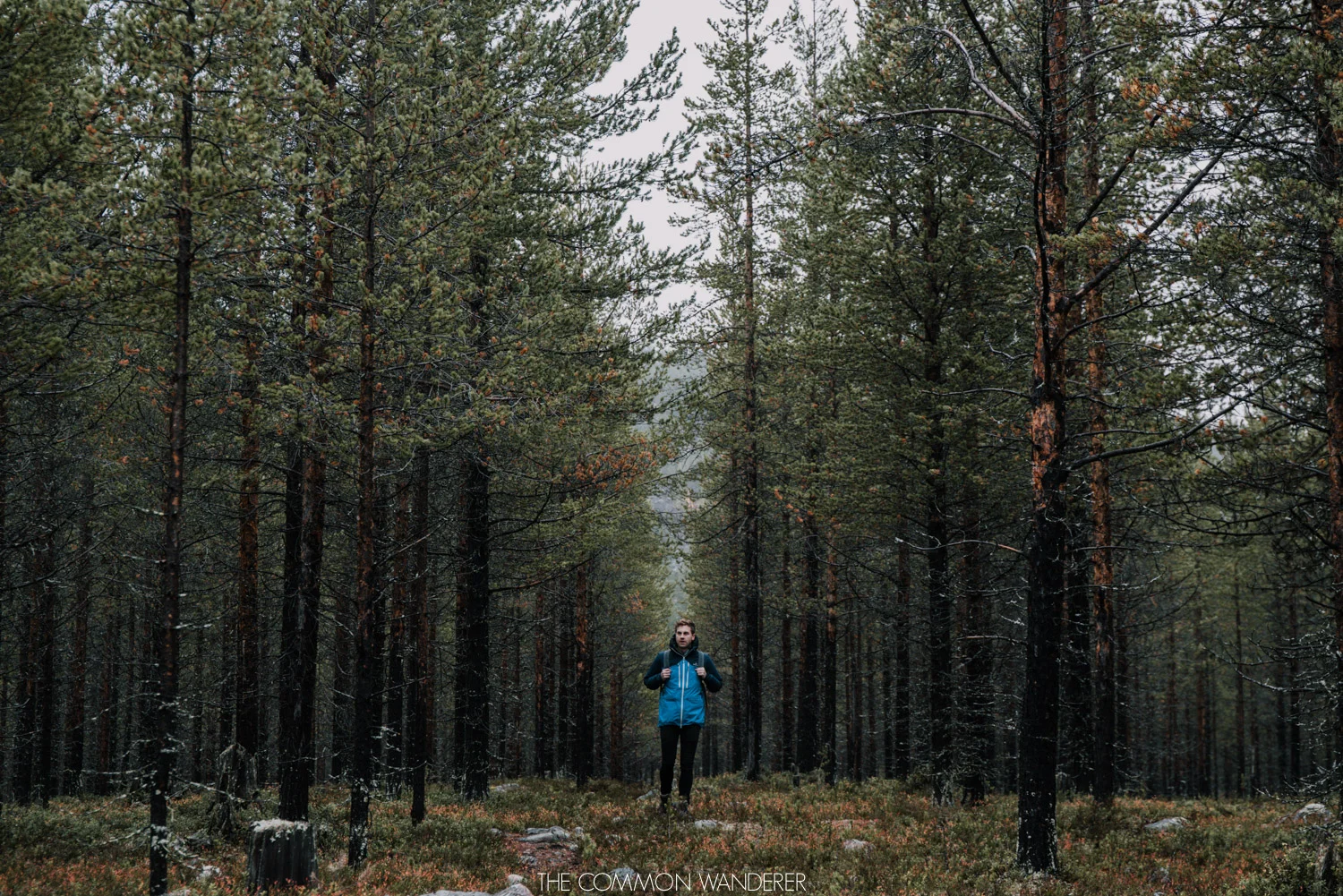 A man hiking through the forests outside of Arjeplog, Swedish Lapland