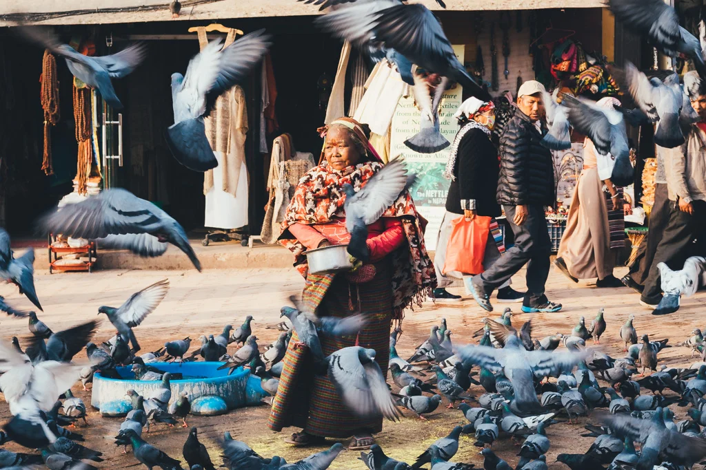 A woman feeds birds in Boudhanath Stupa, Kathmandu