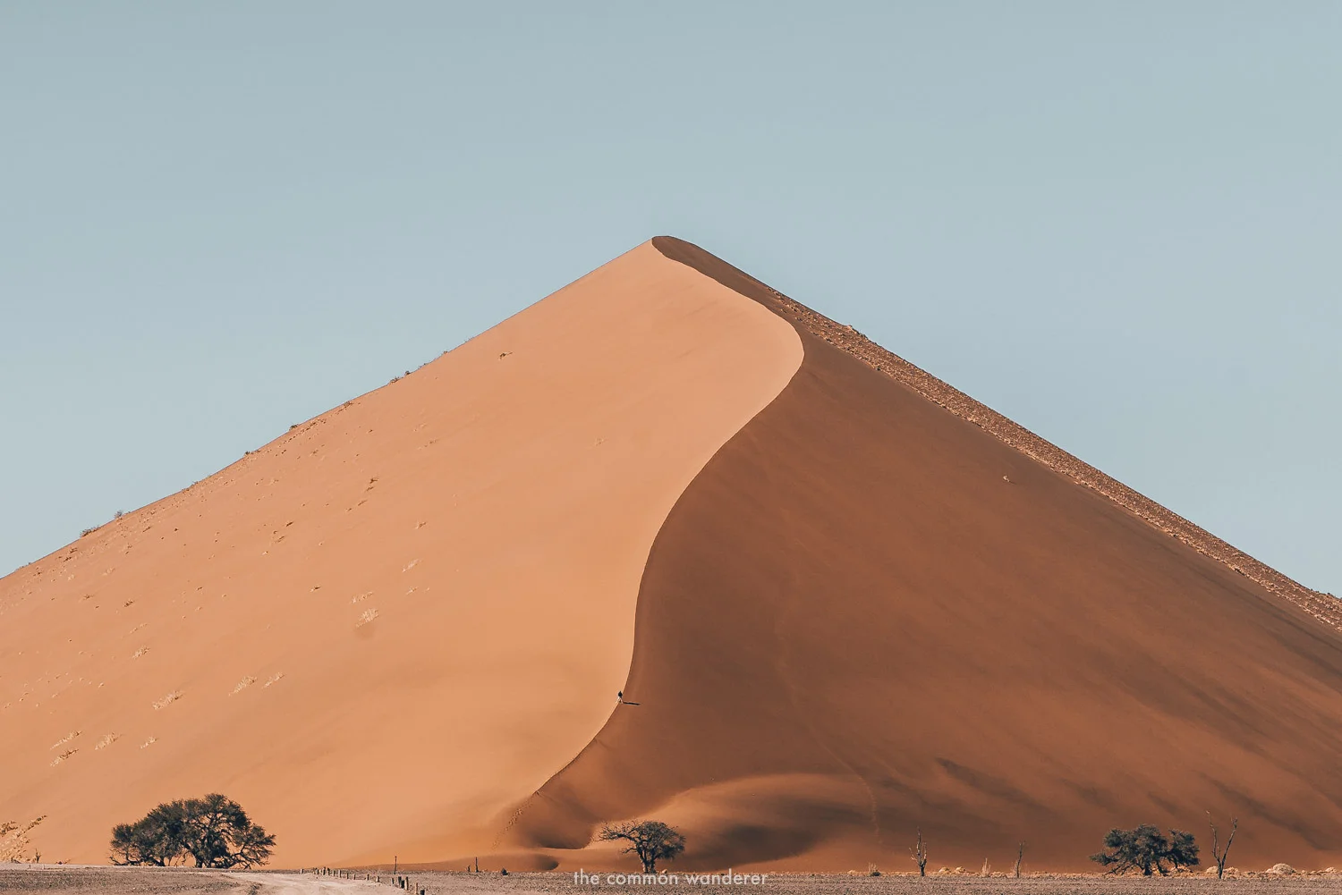 Dune 45 - the tallest dune in Sossusvlei, Namibia - Namibia photos