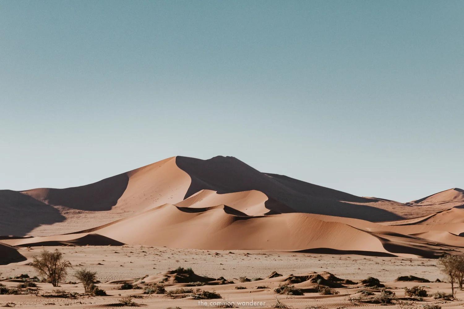 Shadows fall on the dunes of Sossusvlei, Namibia