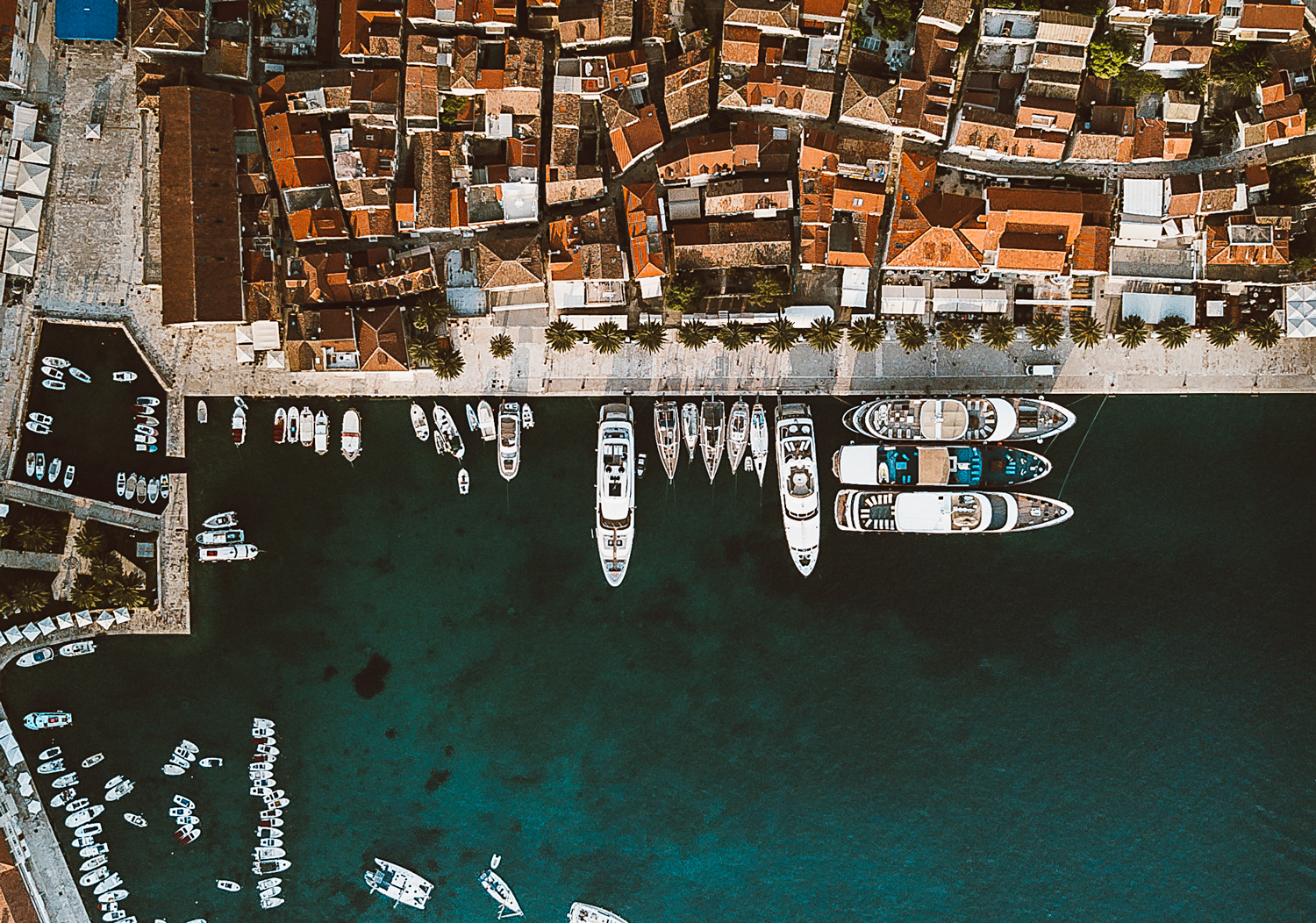 header-image-1.jpg