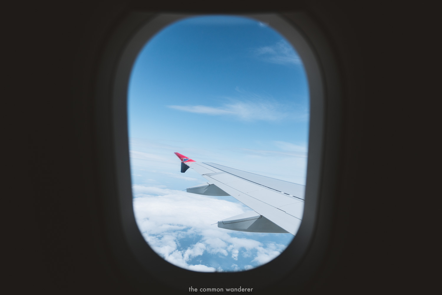 The Common Wanderer_- looking out plane window.jpg