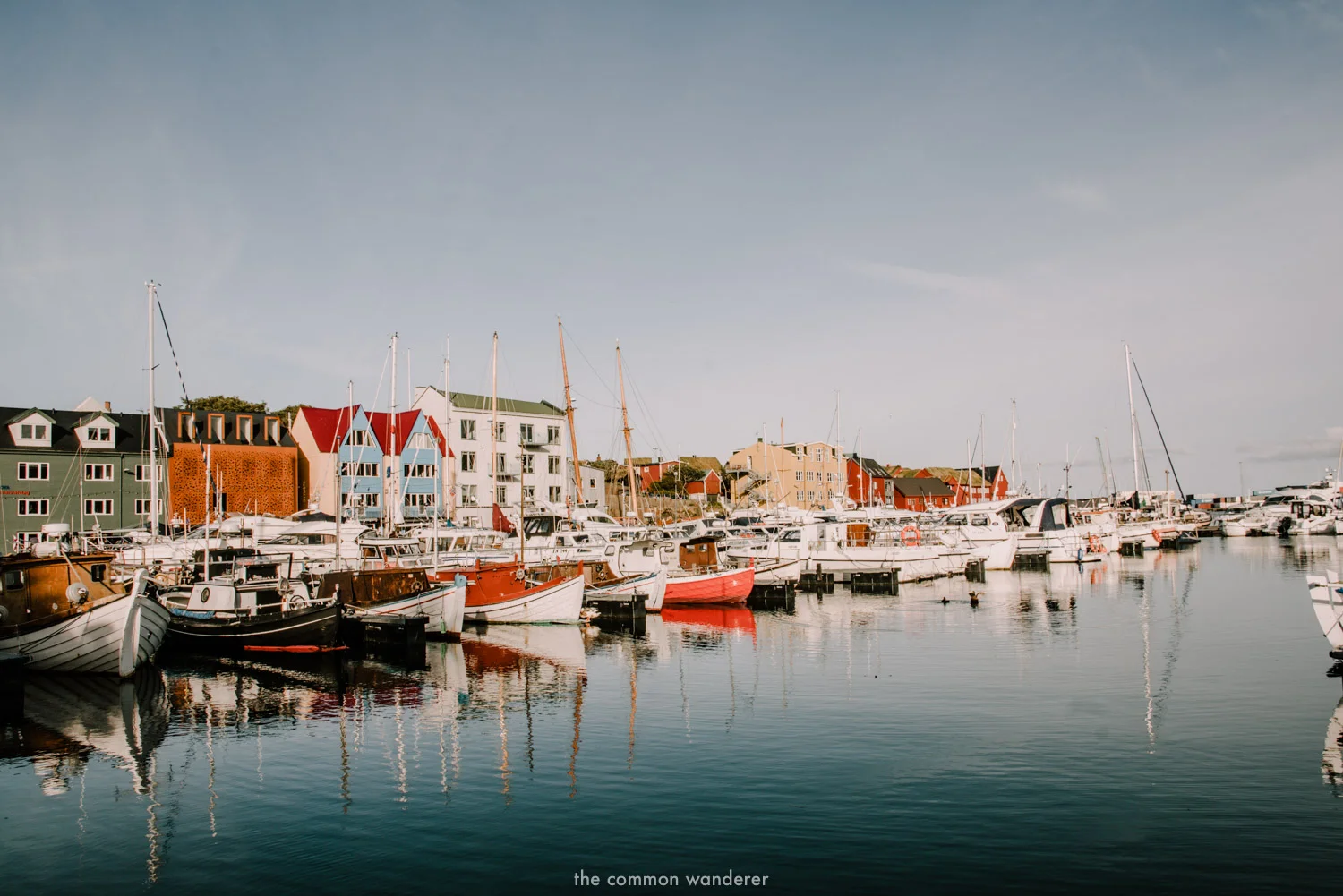 The Common Wanderer_-torshavn.jpg