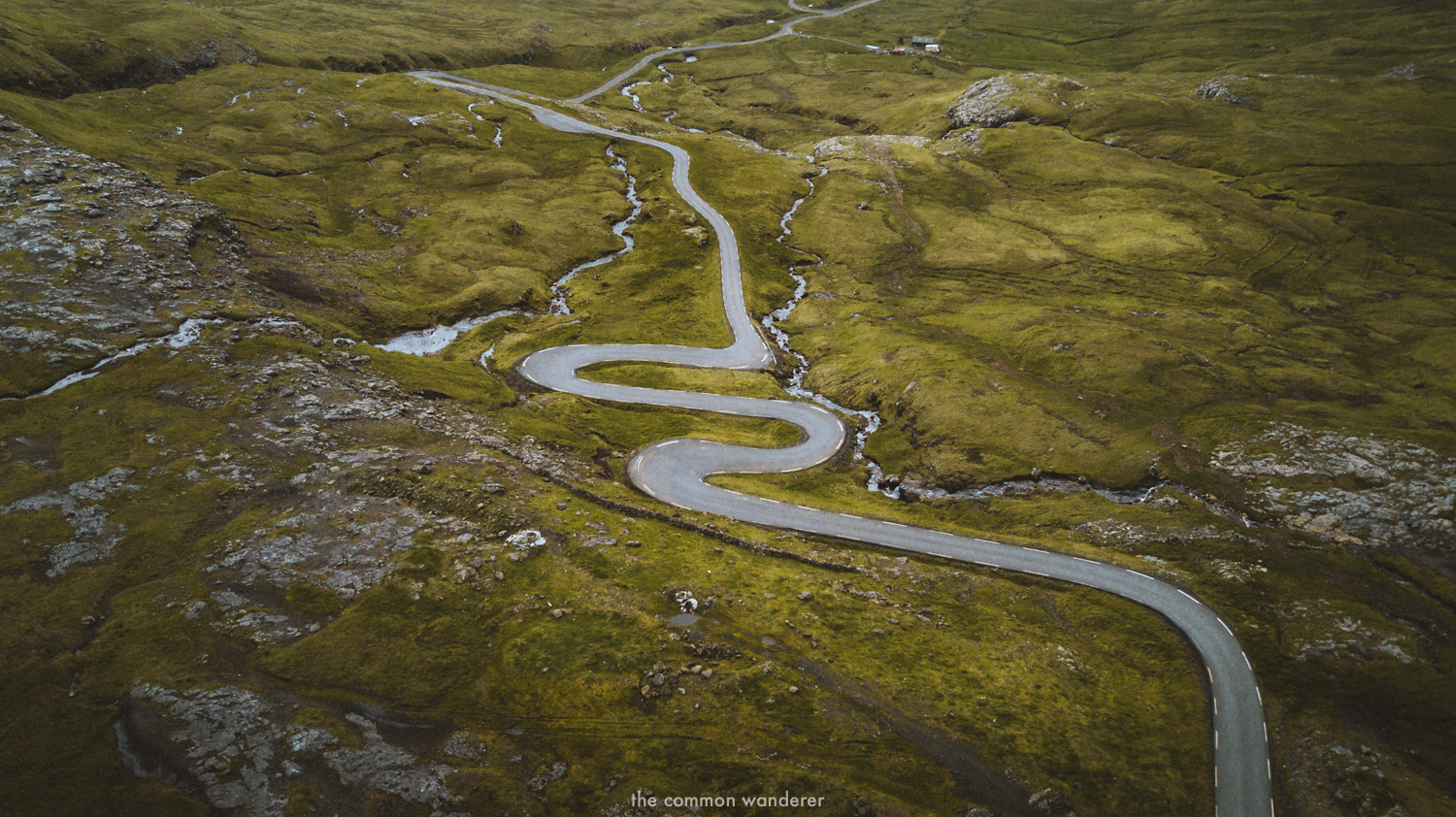 The Common Wanderer_-Faroe Islands 19.jpg