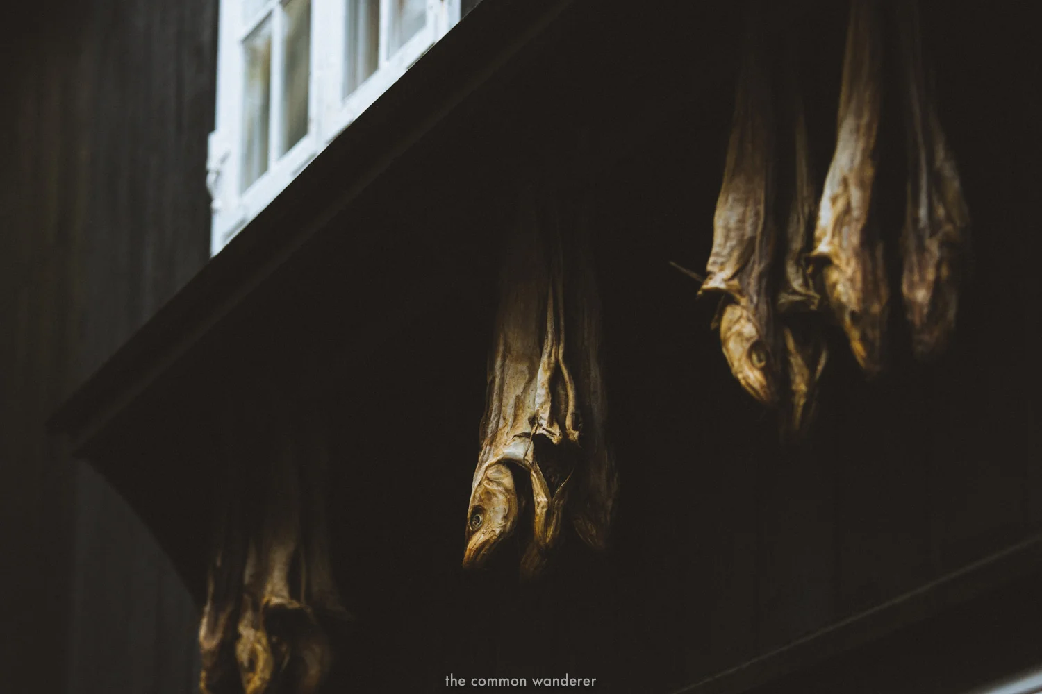 The Common Wanderer_-Faroe Islands 23.jpg