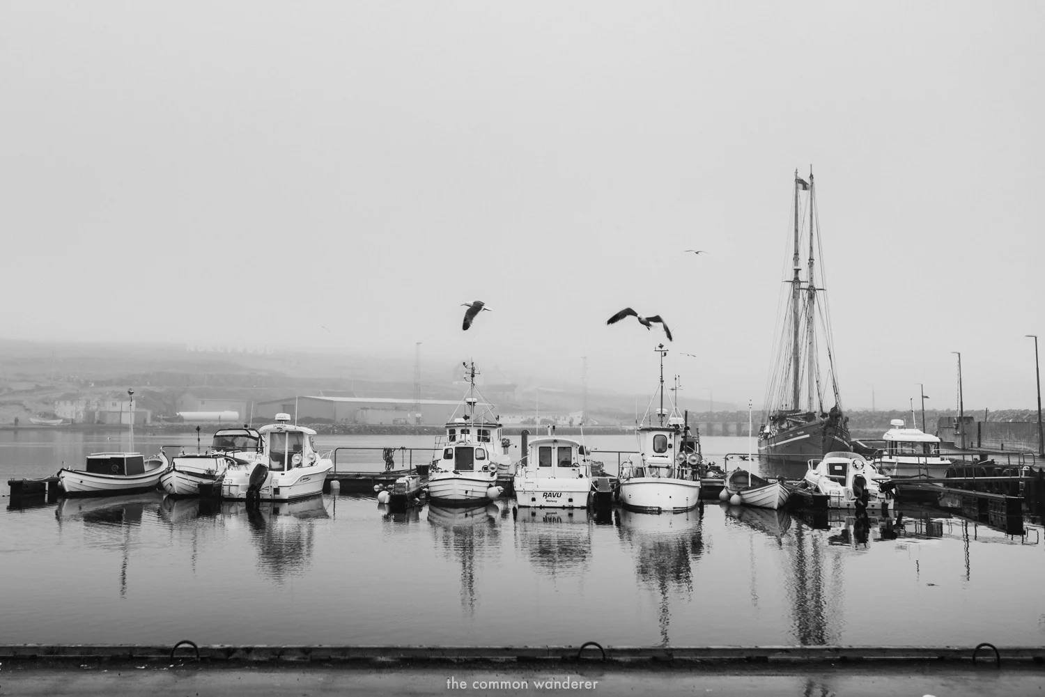 The Common Wanderer_-Faroe Islands 29.jpg