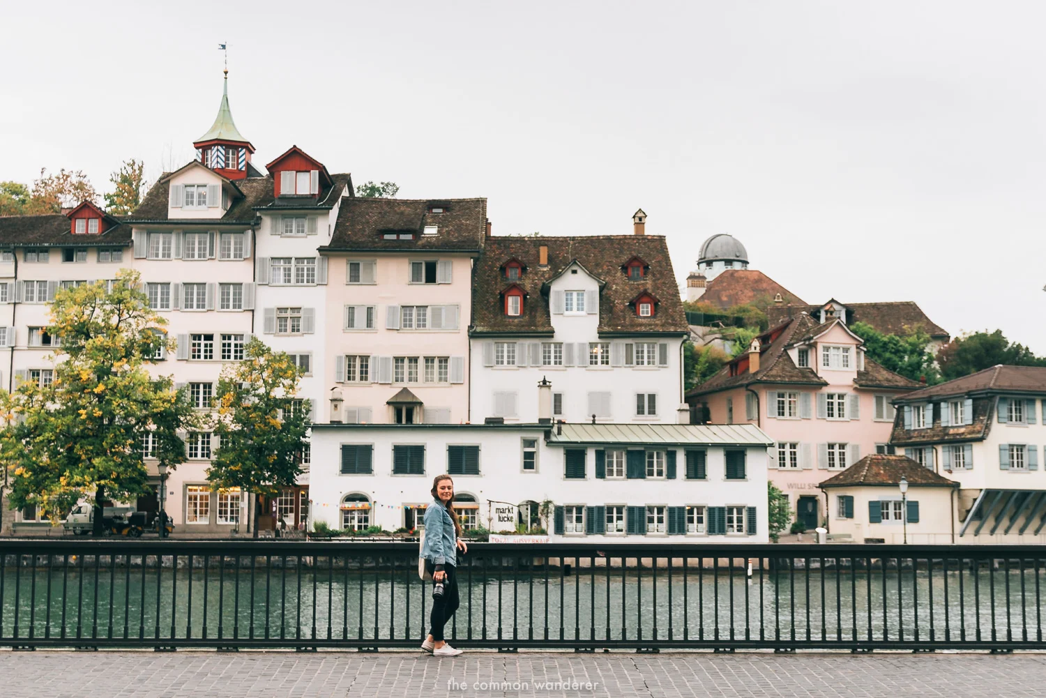 The Common Wanderer_- overlooking Lindenhof hill, Zurich.jpg