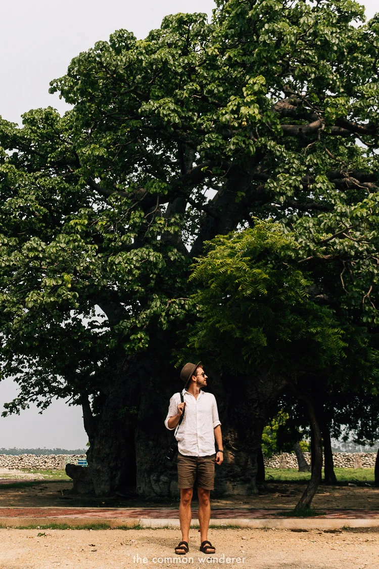 Exploring Delft Island, Jaffna - one of the best things to do in Jaffna, Sri Lanka