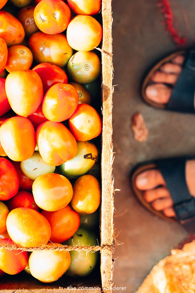 Exploring the colouful Jaffna markets - one of the best things to do in Jaffna, Sri Lanka