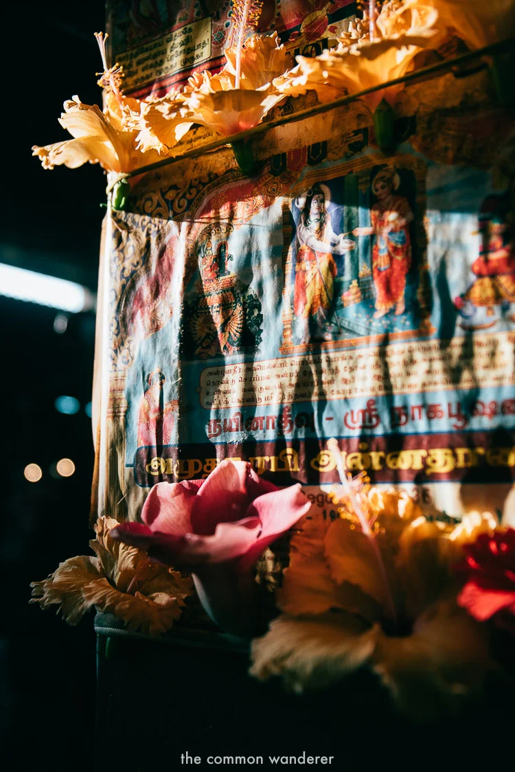 Jaffna Markets - the best things to see and do in Sri Lanka