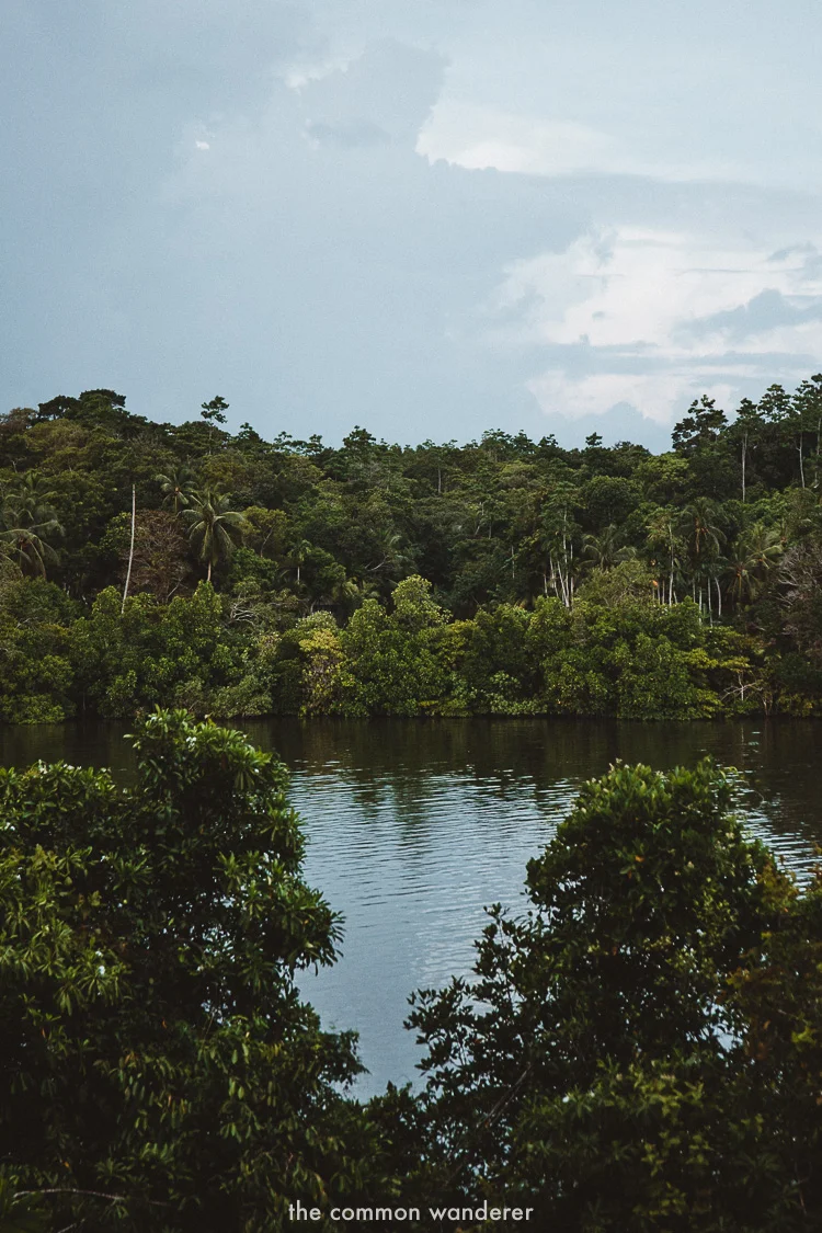 the green surrounds of Tri Lanka