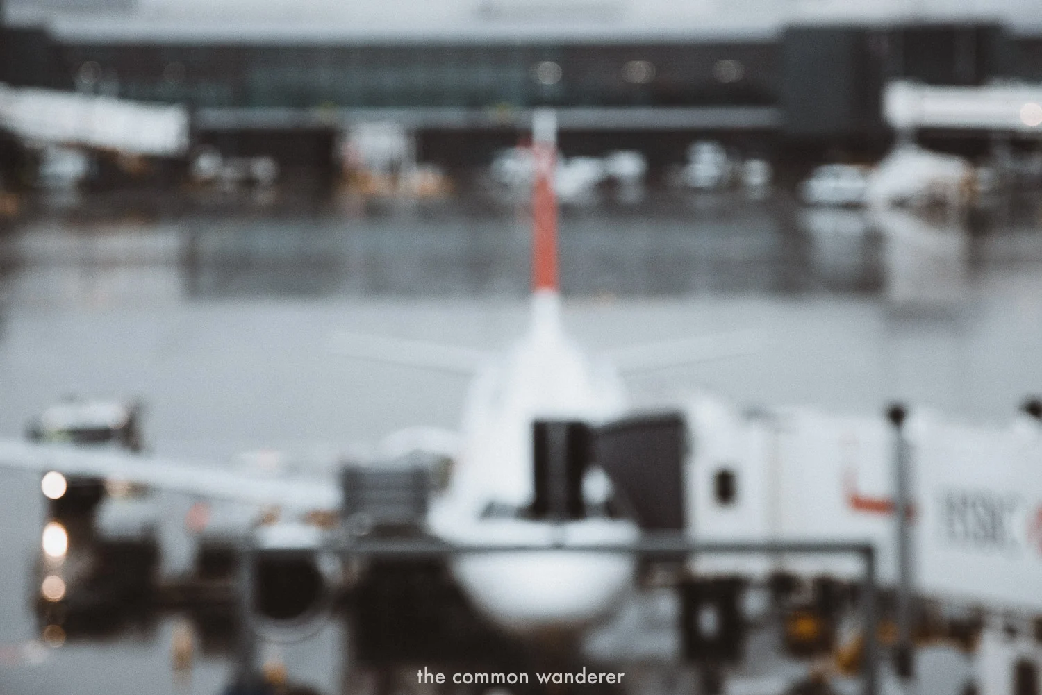 a guide to Carbon offsetting your flights