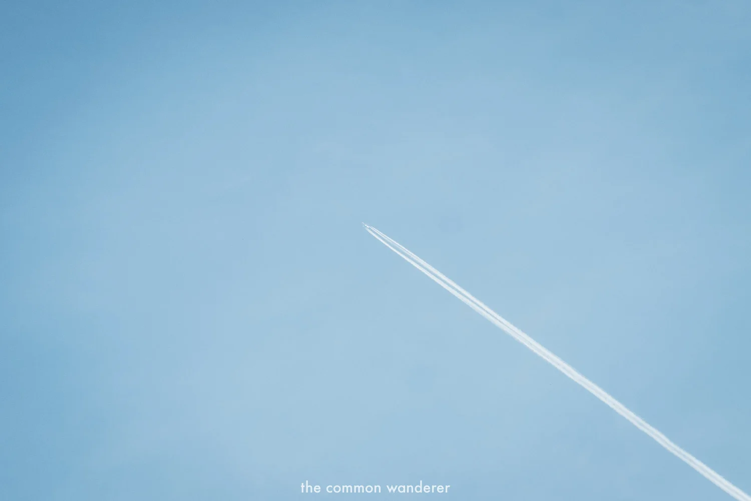 A guide to Carbon offsetting flights