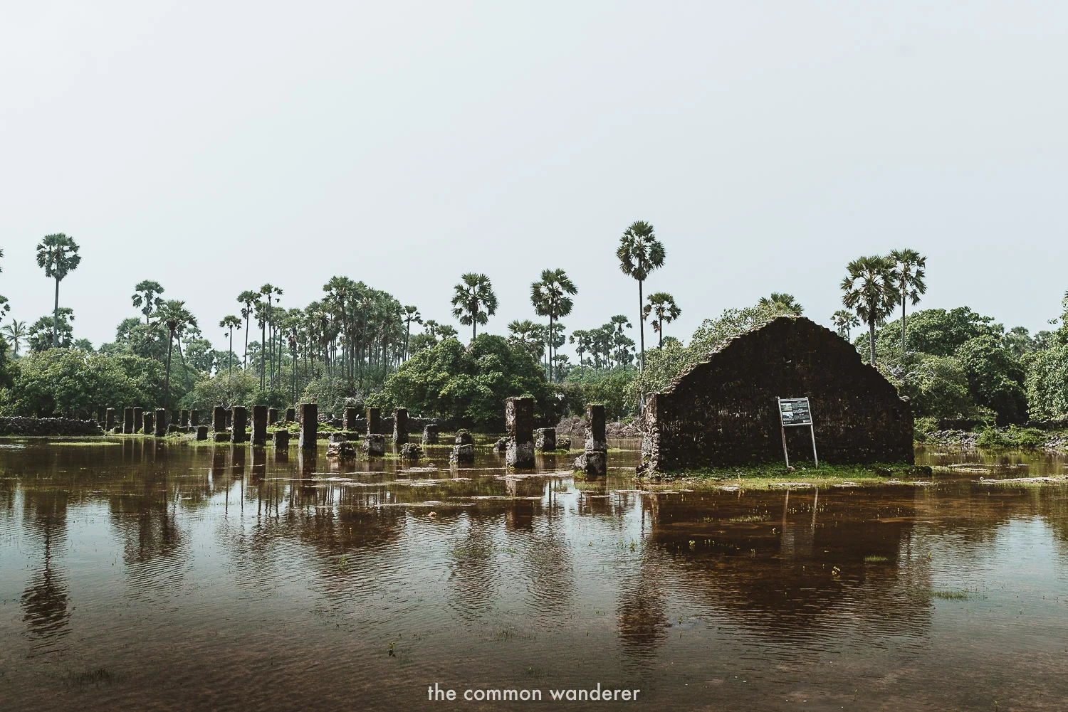 A day trip to Delft Island, Jaffna’s curious coastal island