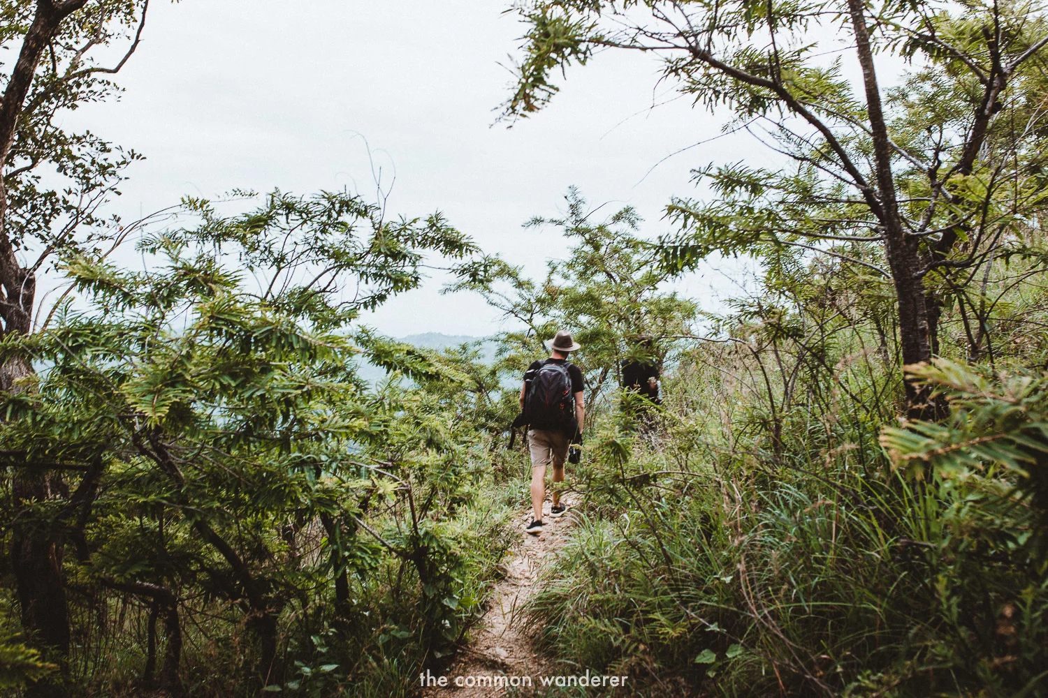 Hiking down to Diyaluma Falls | Diyaluma Falls guide
