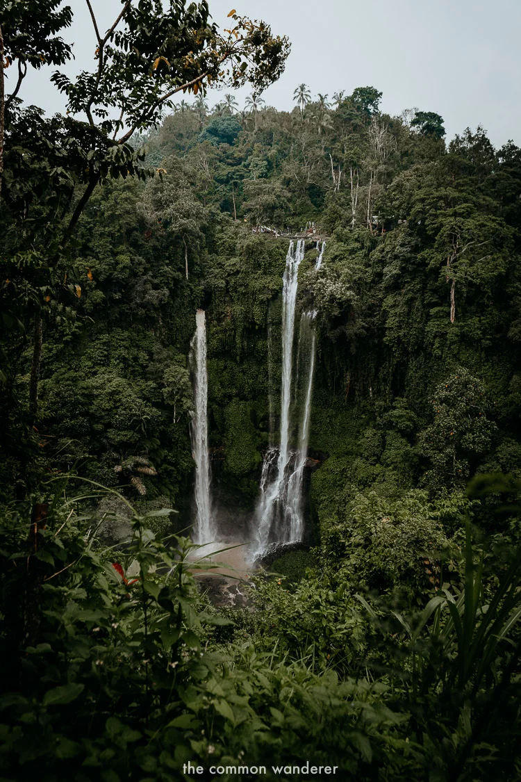 A guide to Sekumpul waterfall, Bali