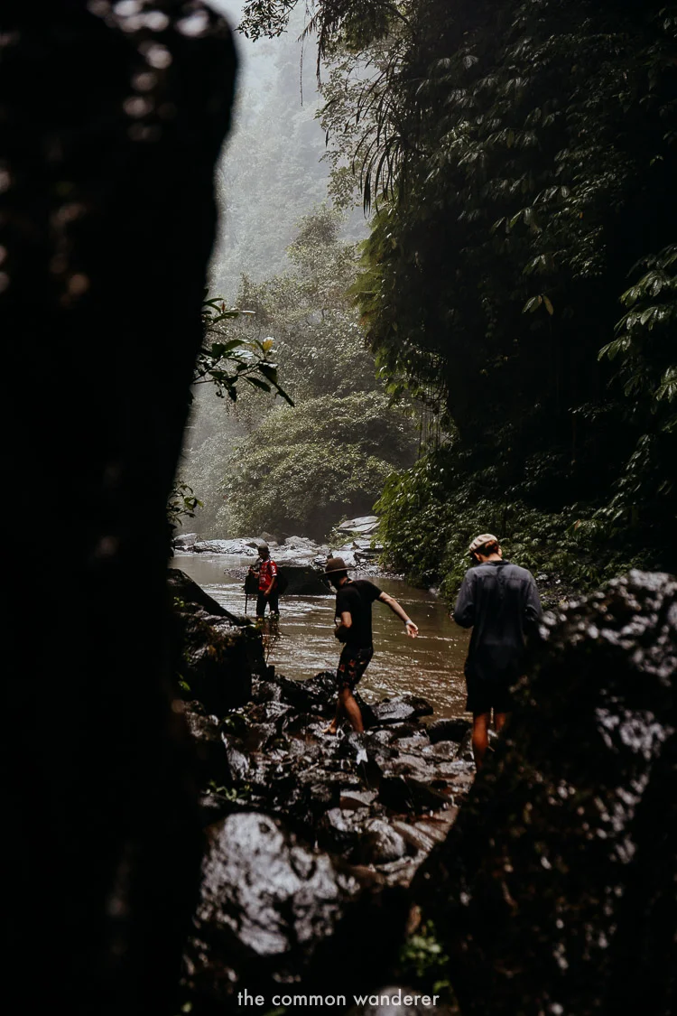 Hiking through Hidden Waterfall, Bali | A guide to Sekumpul waterfall, Bali